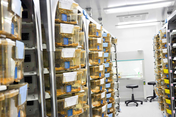 模式动物中心洁净室