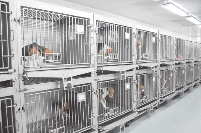 模式动物中心洁净室